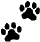 paws